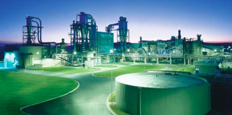 Arauco automation projects — DCS, utilities and wood input